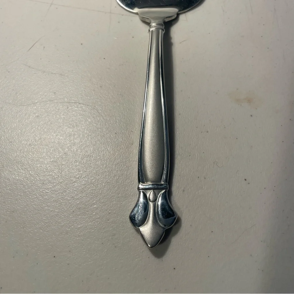 Mesa International 18/10 Elegant Silver Cake Server great condition heavy piece